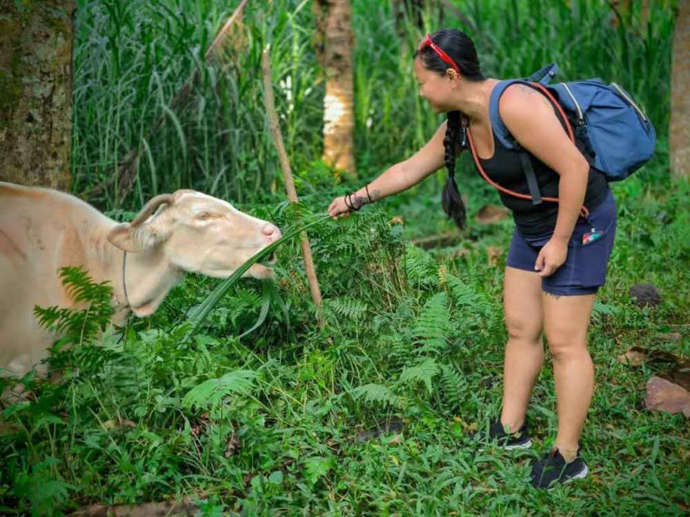 Bali Trekking Exploration