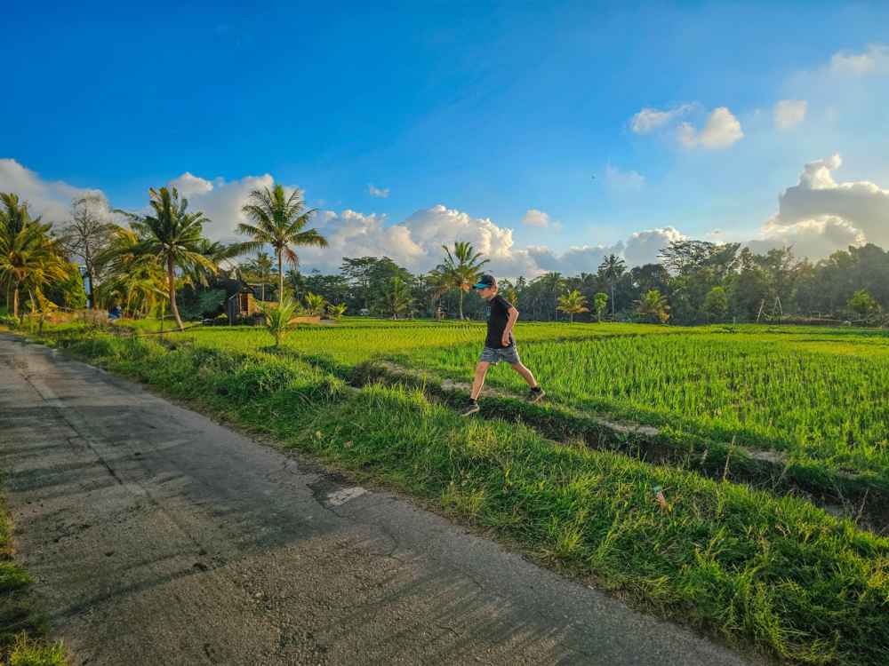 Bali Trekking Exploration