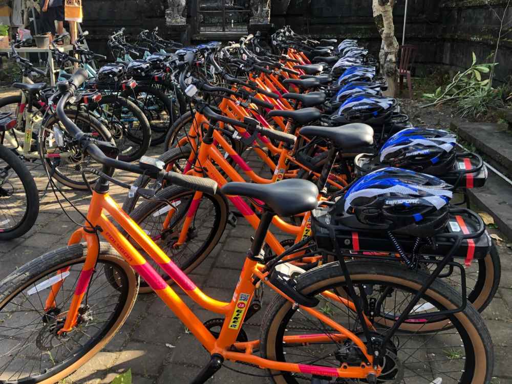 Village E-Bikes Trekking