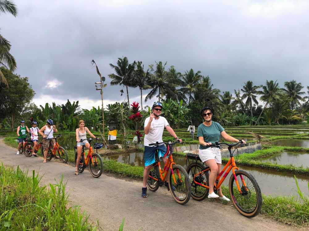 Village E-Bikes Trekking
