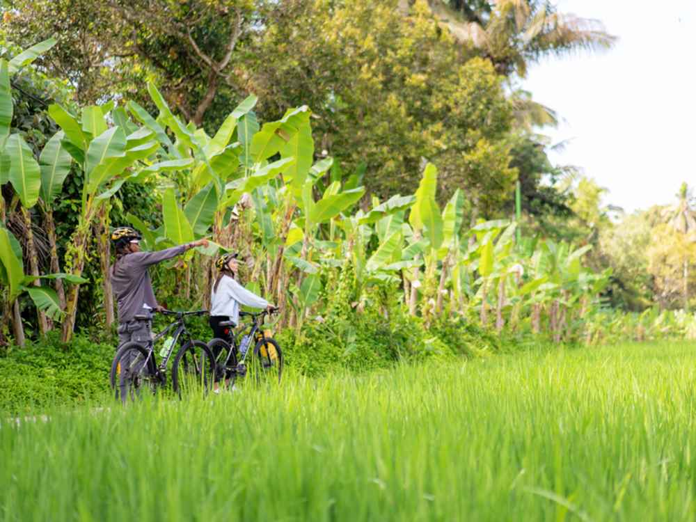 Village E-Bikes Trekking
