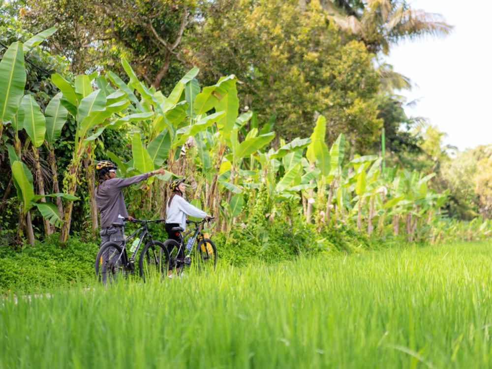 Kintamani E-Bikes Trekking
