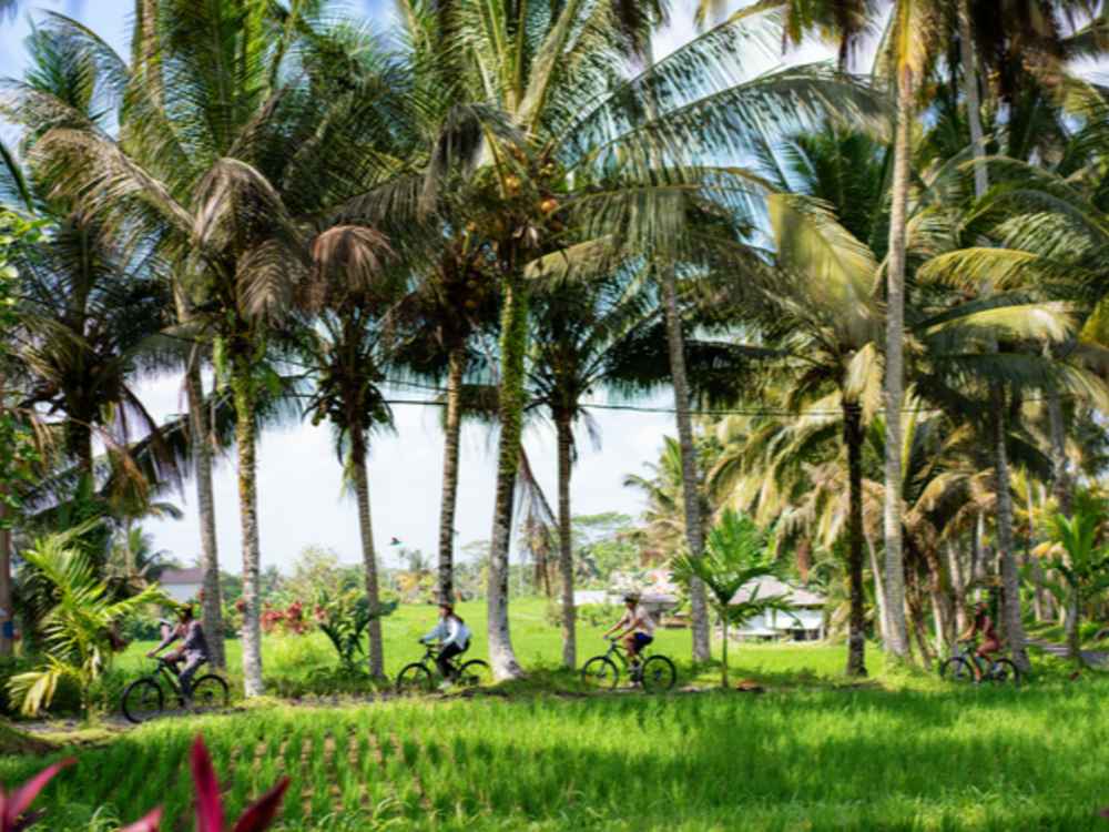 Kintamani E-Bikes Trekking