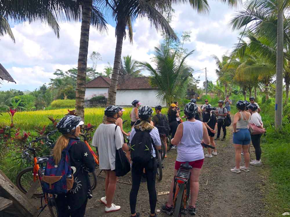 Kintamani E-Bikes Trekking
