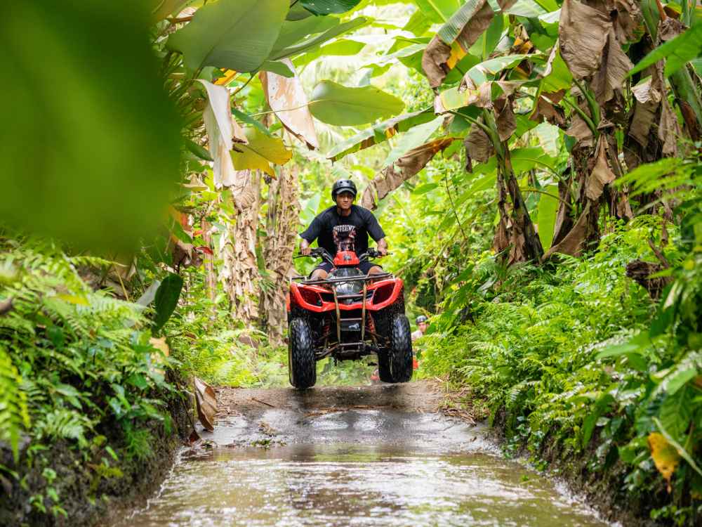 ATV Single