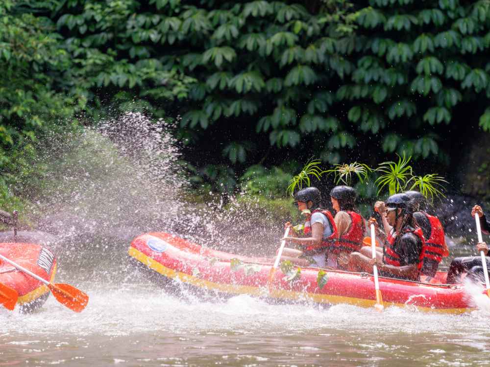 Ubud Adventure & Culture Tour Combo