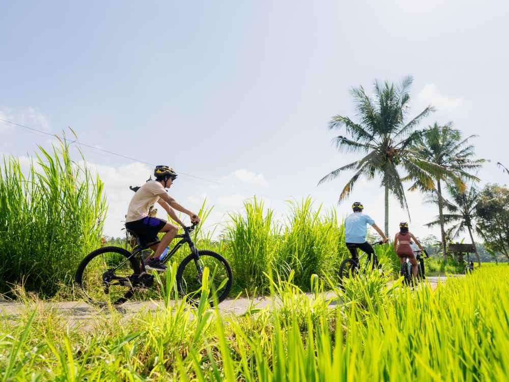 Ubud Adventure & Culture Tour Combo
